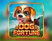 DOG FORTUNE MC